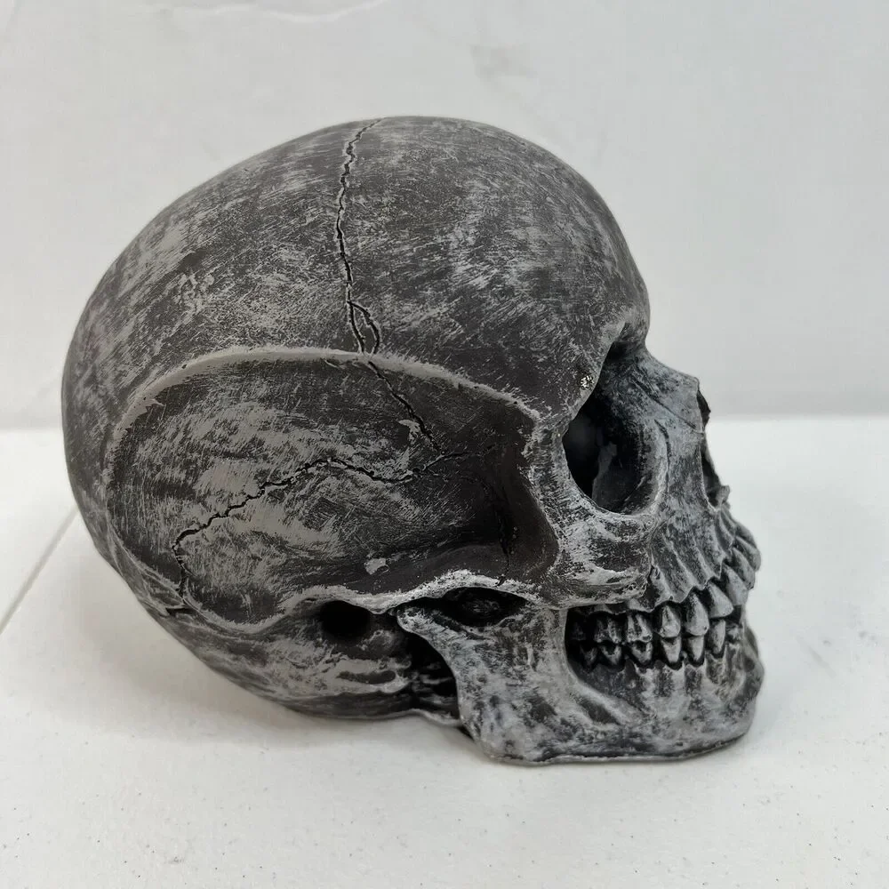 N/A skull halloween